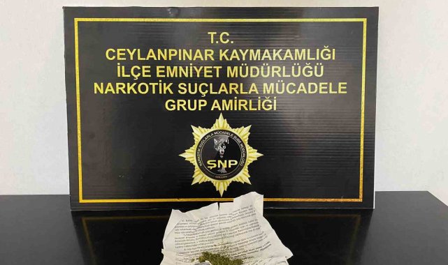 Polisten uyuşturucu serasına operasyon
