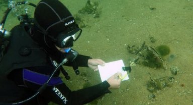 Prof. Dr. Sarı: Pina, saatte 6 litre deniz suyunu süzerek müsilaj oluşumunu engelliyor