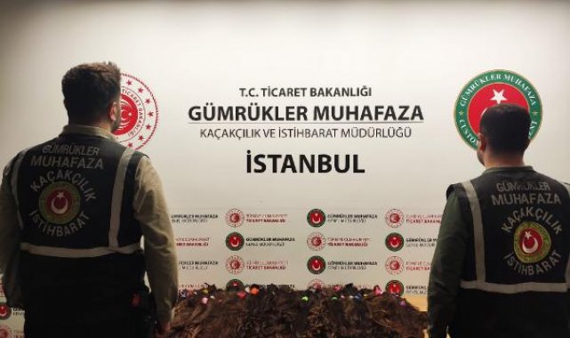 Sabiha Gökçen Havalimanı'nda valizden 15 kilogram saç çıktı