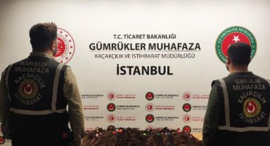 Sabiha Gökçen Havalimanı'nda valizden 15 kilogram saç çıktı