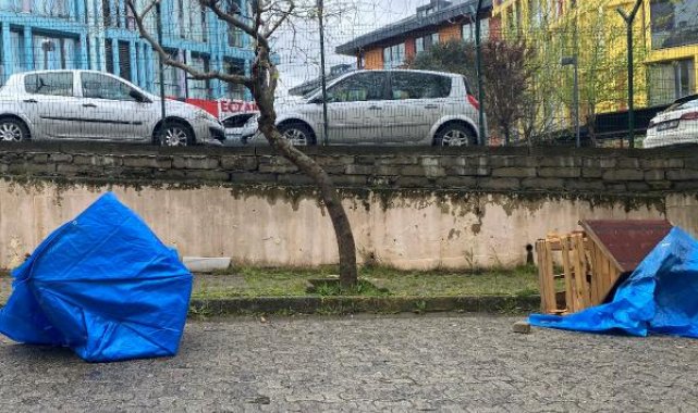 Sarıyer'de sitede köpek kulübesi gerginliği