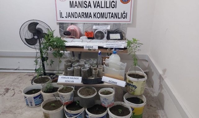 Saruhanlı'da saksıda uyuşturucu yetiştiren kişi yakalandı