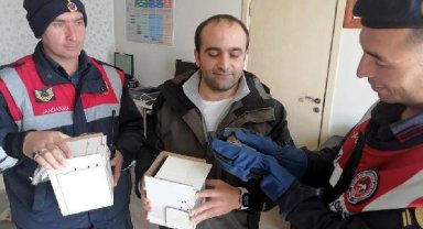 Sattığı sincapları otobüsle götürürken yakalandı: 3 kişiye 21 bin 800'er TL ceza