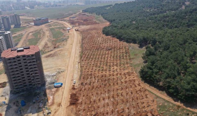 Şehitkamil'de 26. orman için hazırlıklar tamamlandı