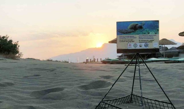 Sezonun ilk Caretta yuvası koruma altına alındı