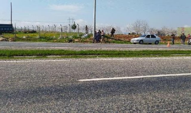 Siirt'te ineğe çarpan otomobilin sürücüsü yaralandı