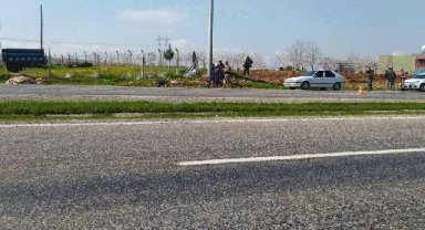 Siirt'te ineğe çarpan otomobilin sürücüsü yaralandı