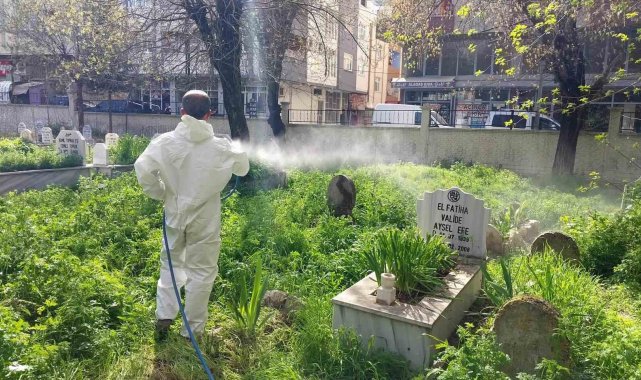 Siirt'te mezarlıklarda yabani otlara karşı ilaçlama çalışması başlatıldı