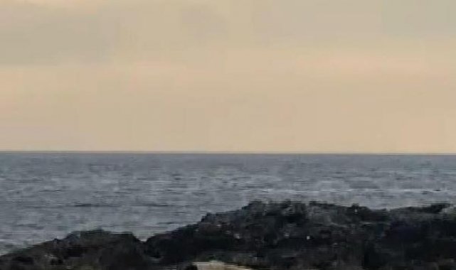Şile'de adada mahsur kalan köpeği sahil güvenlik kurtardı