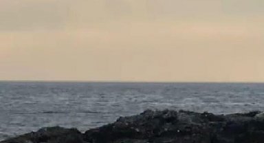 Şile'de adada mahsur kalan köpeği sahil güvenlik kurtardı