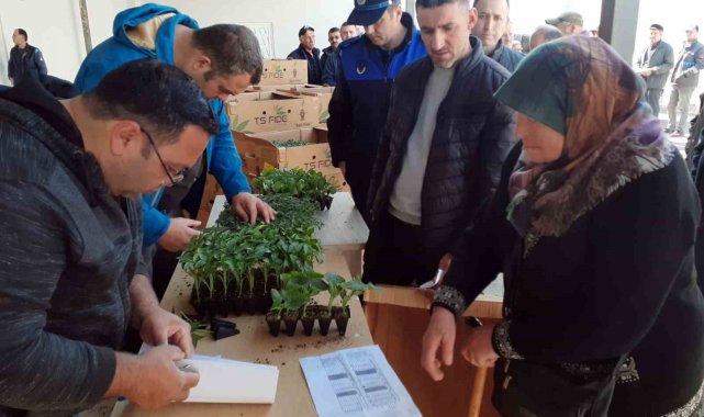 Sinop'ta 530 seracıya 61 bin sebze fidesi dağıtıldı