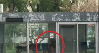 Sokakta yaşıyordu, durakta ölü bulundu