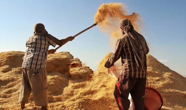 Tarımsal girdi fiyat endeksi şubatta aylık yüzde 1,22, yıllık yüzde 69,99 arttı