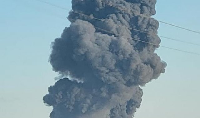 Teksas'ta bir mandırada patlama: 18 bin inek öldü