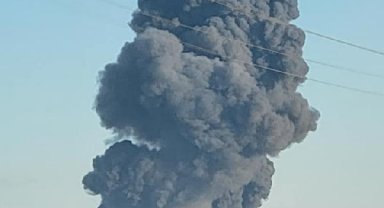 Teksas'ta bir mandırada patlama: 18 bin inek öldü
