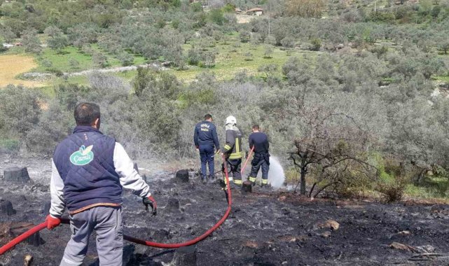 Temizlik ateşi ormanı yakıyordu