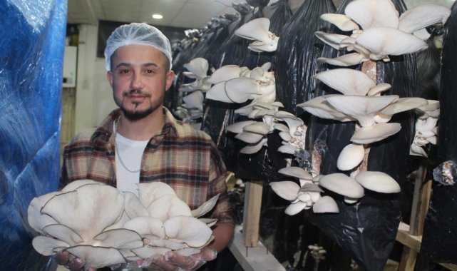 Tır şoförlüğünü bırakıp hayallerinin peşinden gitti yakın arkadaşıyla birlikte istiridye mantarı üretimine başladı