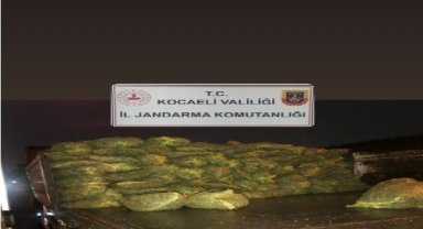 TIR'da 10 ton kaçak midye ele geçirildi