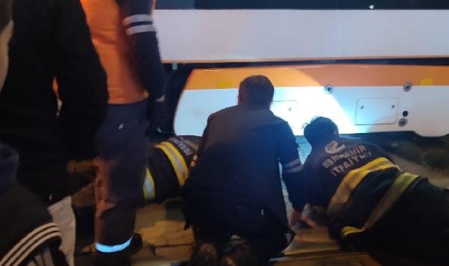 Tramvayın altında sıkışan 2 köpeği, itfaiye kurtardı