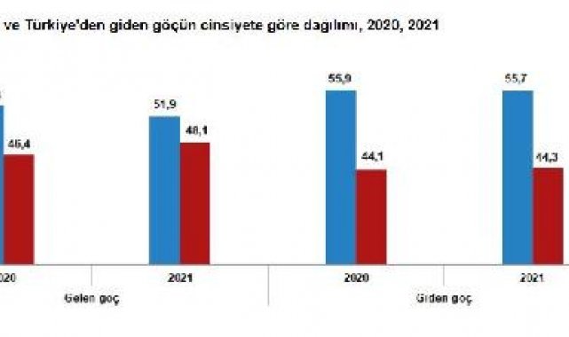 TÜİK: 2021'de yurt dışından Türkiye'ye 739 bin 364 kişinin göç etti