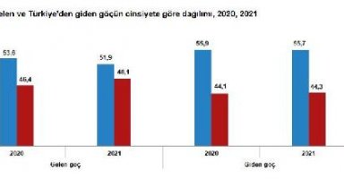 TÜİK: 2021'de yurt dışından Türkiye'ye 739 bin 364 kişinin göç etti