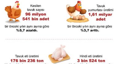 TÜİK: Yumurta üretimi ve inek sütü miktarı arttı, tavuk eti üretimi azaldı
