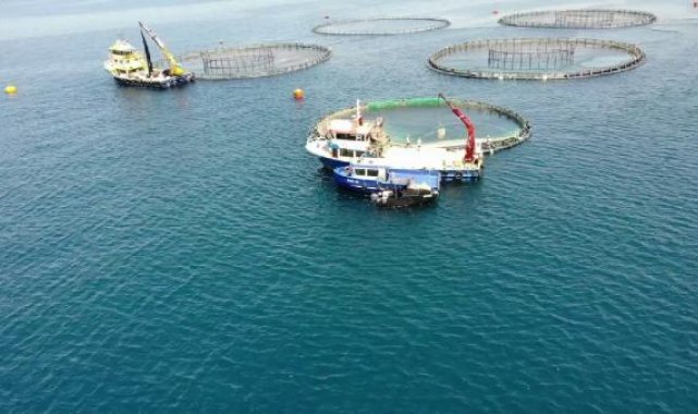 Türkiye, su ürünleri yetiştiriciliğinde Avrupa'da 1'inci sırada