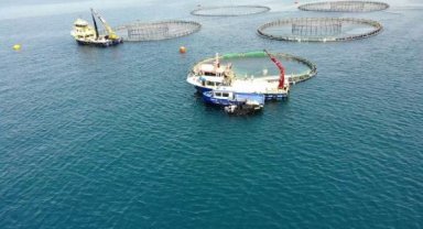 Türkiye, su ürünleri yetiştiriciliğinde Avrupa'da 1'inci sırada