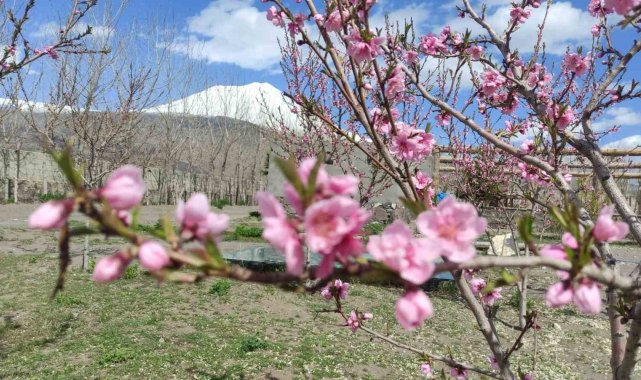 Türkiye'nin çatısı olarak nitelendirilen Ağrı Dağı eteklerinde meyve bahçesi ile turistleri bekliyor