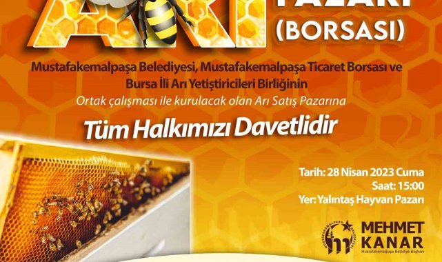 Türkiye'nin ilk arı pazarı Bursa Mustafakemalpaşa'ya kurulacak