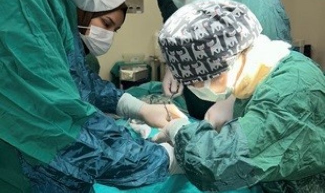 Uşak Üniversitesi bölgede yapılamayan önemli bir diş ameliyatına imza attı