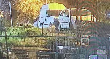 Üsküdar'da sokak köpeğine silahlı saldırı