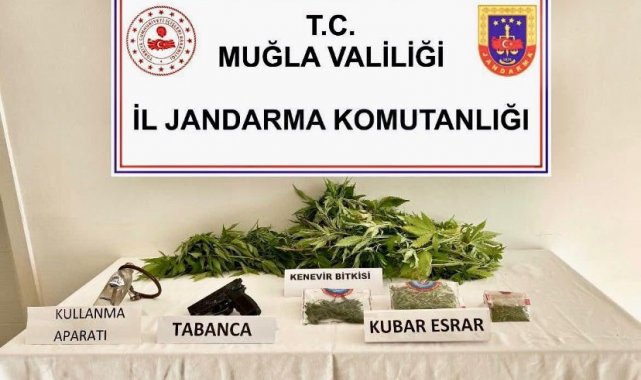 Uyuşturucu operasyonunda 1 gözaltı