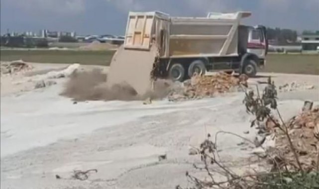 Üzerlerine beton atık suyu dökülen 5 yavru köpekten 3'ü öldü