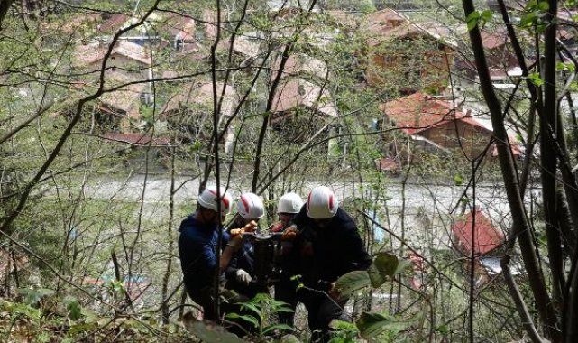 Uzungöl'de yaban hayatı kaynaklı kaya tehdidine çelik bariyerli önlem