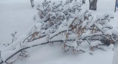 Van'da 83 yerleşim yerinin yolu, kardan kapandı