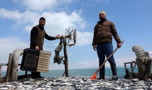 Vanlı balıkçılar son kez ağlarını göle attı