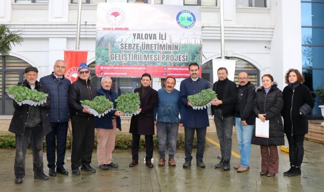 Yalova'da sebze üreticilerine 52 bin 550 adet hıyar fidesi dağıtıldı