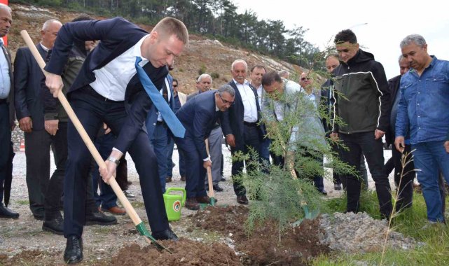 Yanan alanı muhtarlar yeniden yeşillendirecek