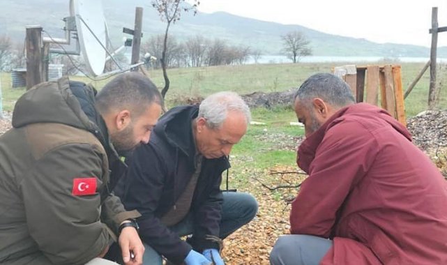 Yaralı gri balıkçıl kuşu, tedavi altına alındı