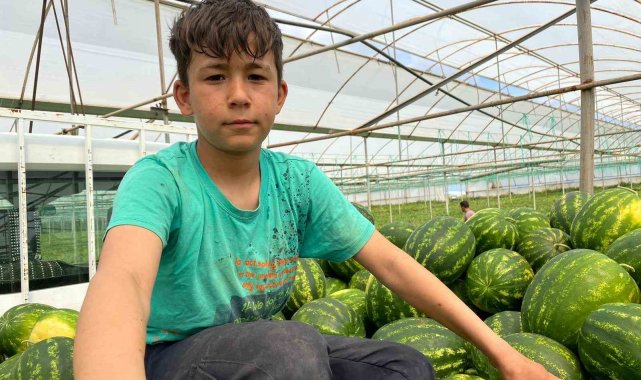 Yaşıtları bayram kutlarken, o serada aile bütçesine katkı sağlıyor