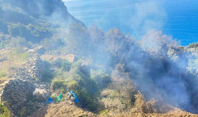 Yerleşim yerlerine yakın noktada çıkan yangın büyümeden söndürüldü