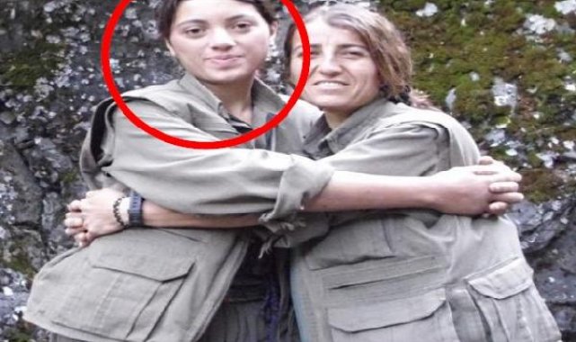 Yeşil Sol Parti'nin Kocaeli adayına terör gözaltısı