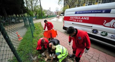 Yol verin 'haybulans' geliyor