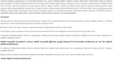 Yüksek lisans öğrencisi hemşireye " veteriner danışman" ataması