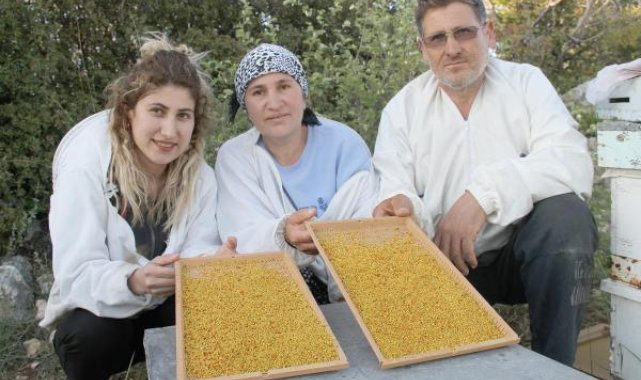 100 ton üretimin olduğu Mersin'de polenin kilosu 300 lira
