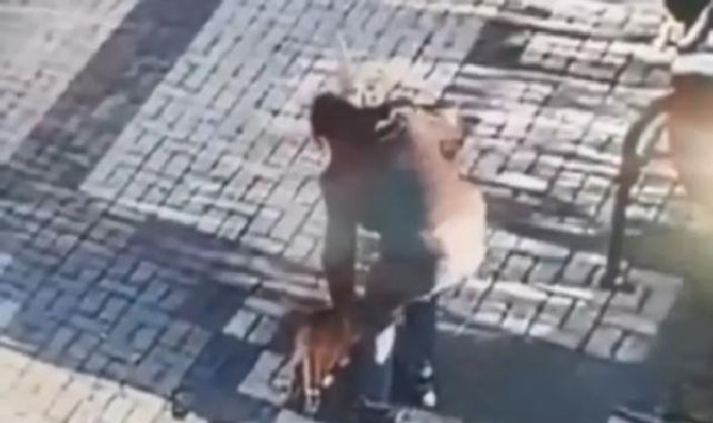 14 yaşındaki çocuğun kediye malalı eziyeti kamerada