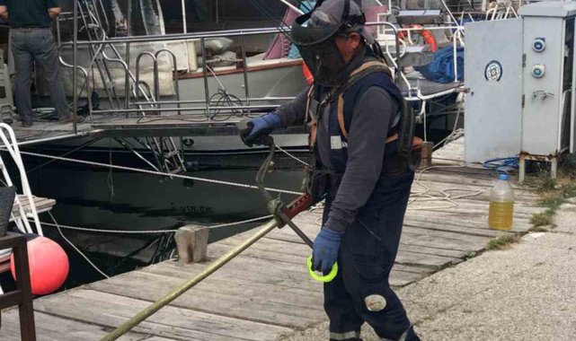 'Daha temiz ve yaşanabilir' Ortaca seferberliği