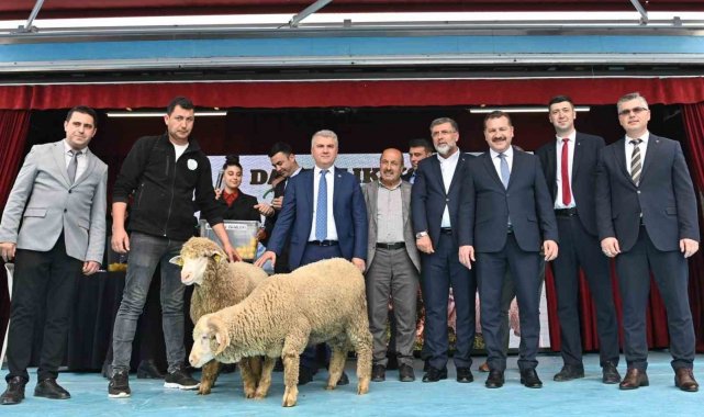 41 damızlık koç sahibini buldu
