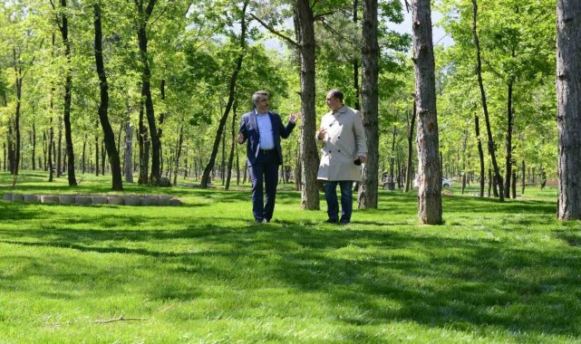 700 yıllık Osmanlı köyü Cumalıkızık'a 100 bin metrekarelik orman parkı